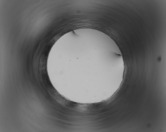 X0000115810190200912241922