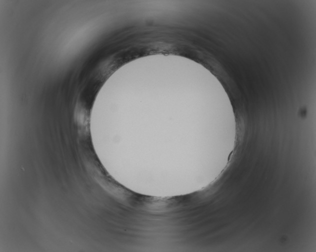 X0000115810191200912241922