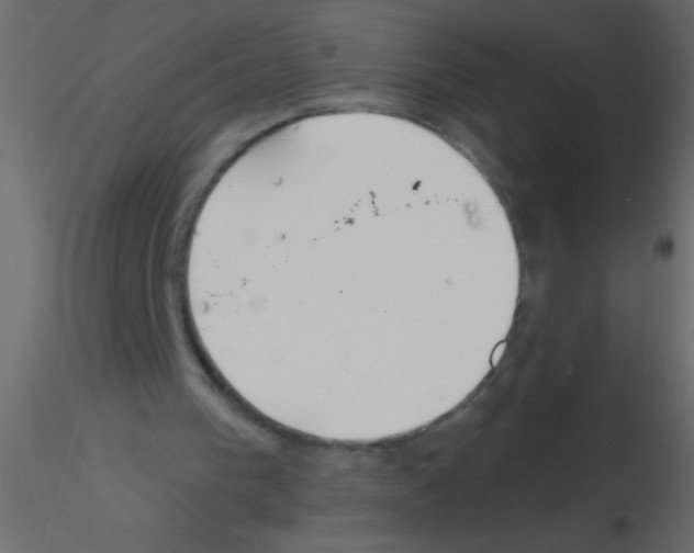 X0000115810193200912241921