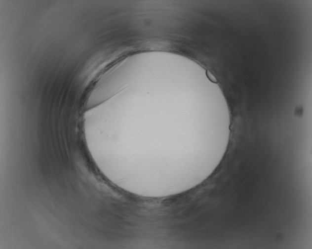 X0000115810194200912241921