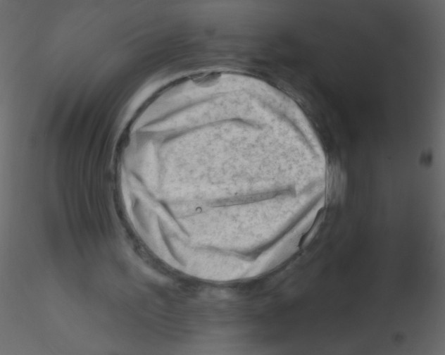 X0000115810195200912241921