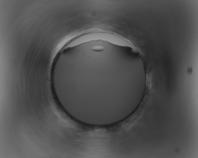 X0000115810196200912241921