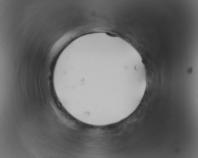 X0000115810197200912241921