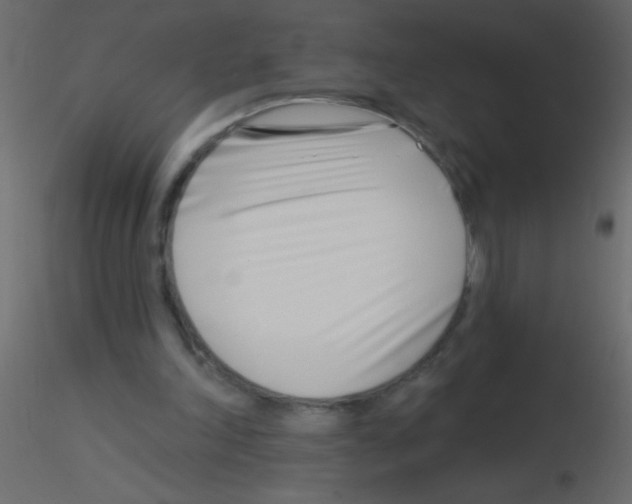 X0000115810198200912241921