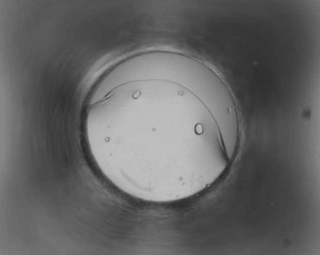 X0000115810199200912241921