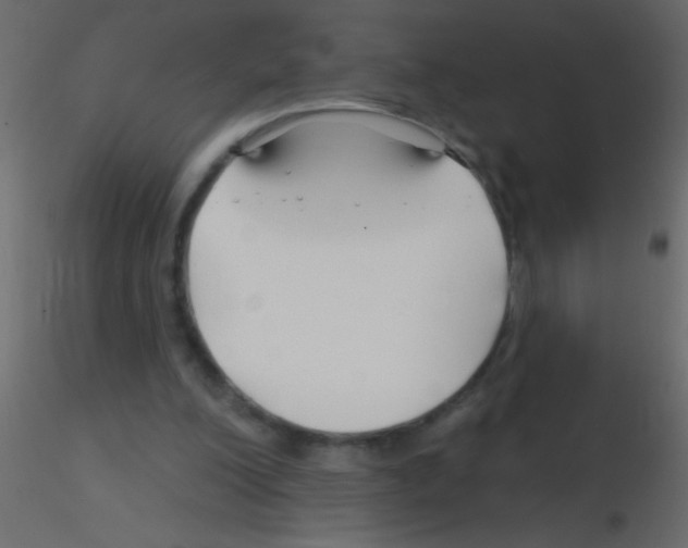 X0000115810200200912241921