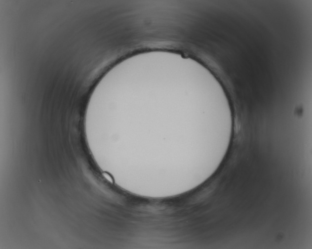 X0000115810201200912241921