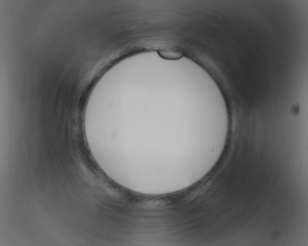X0000115810202200912241921