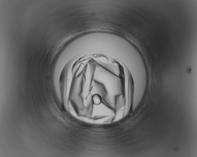 X0000115810203200912241921