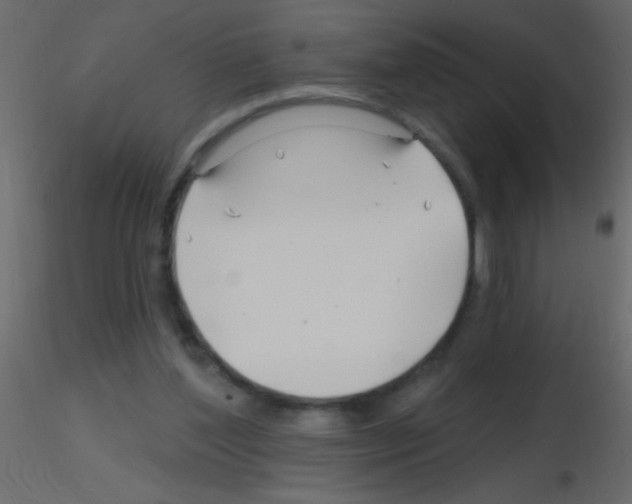 X0000115810204200912241921