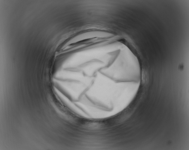 X0000115810205200912241921
