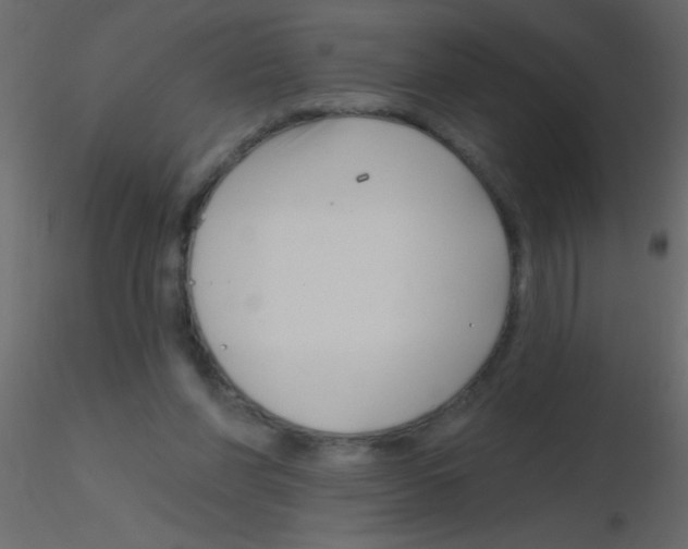 X0000115810206200912241921
