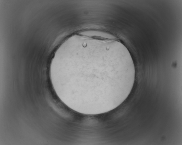 X0000115810207200912241921
