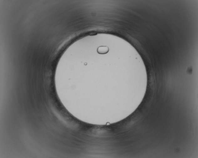 X0000115810208200912241921