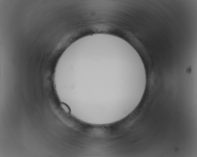 X0000115810209200912241921