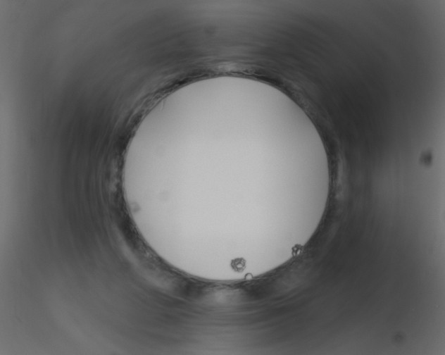 X0000115810210200912241921
