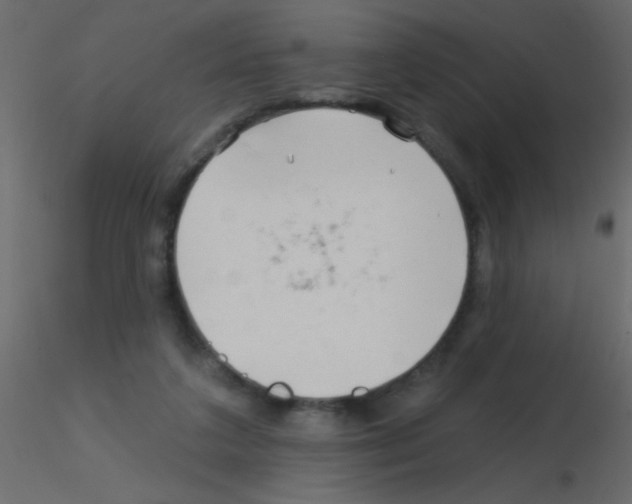 X0000115810211200912241921