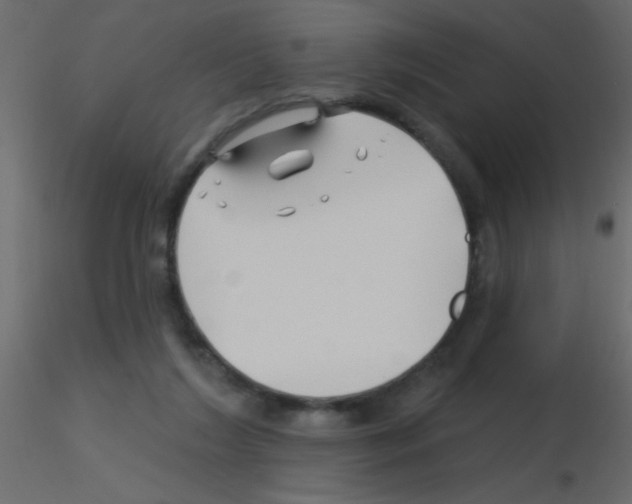 X0000115810212200912241921