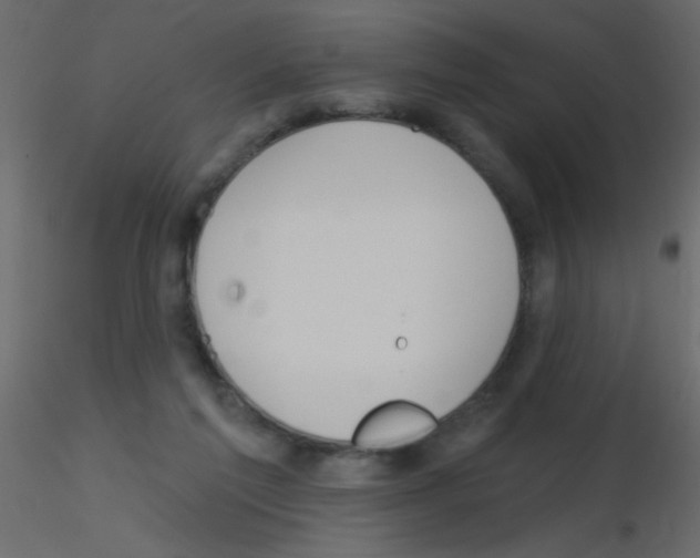 X0000115810213200912241921