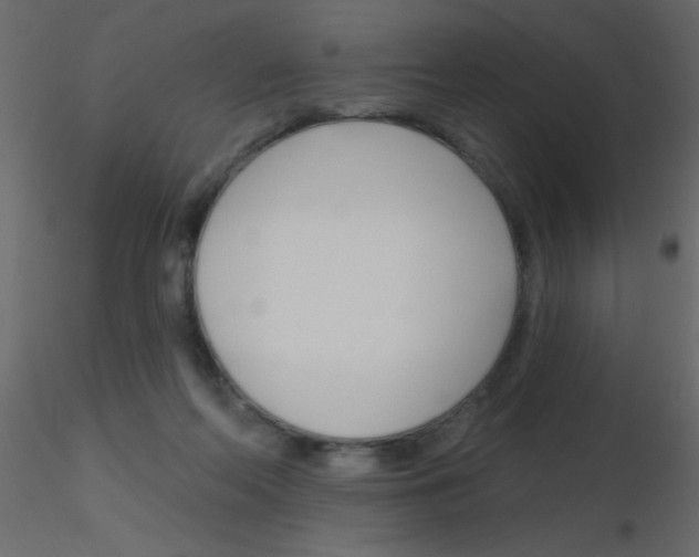 X0000115810214200912241921