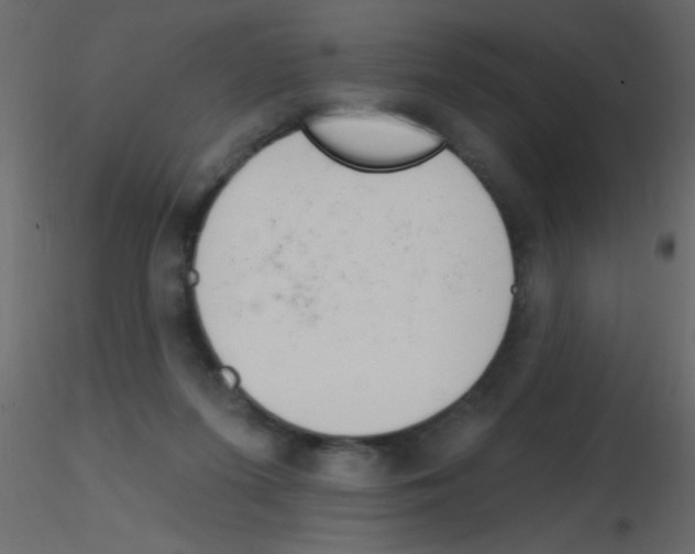X0000115810215200912241921