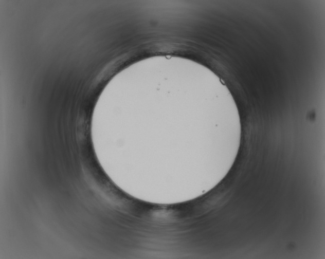X0000115810216200912241921