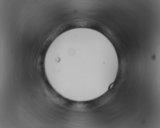 X0000115810217200912241921