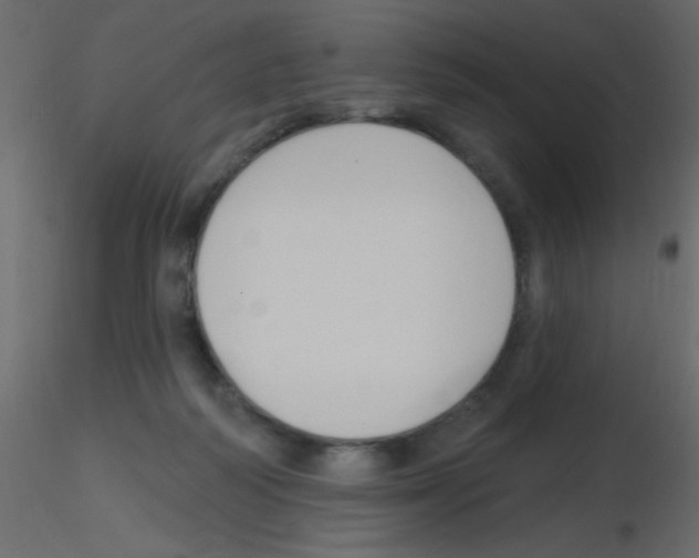 X0000115810218200912241921