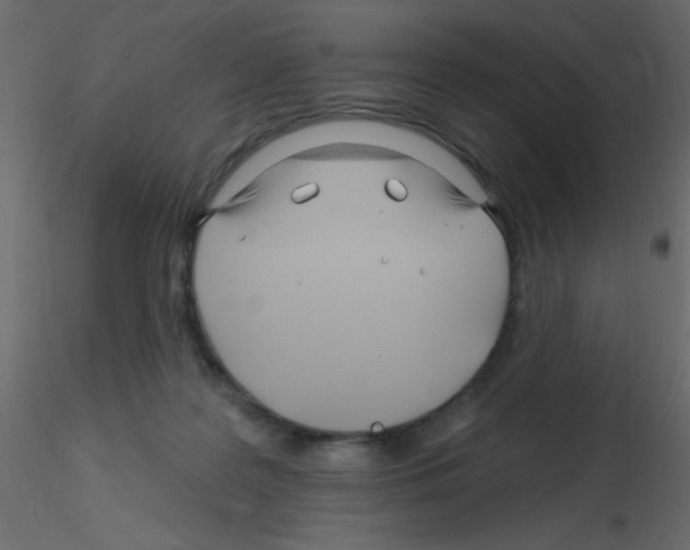 X0000115810219200912241921