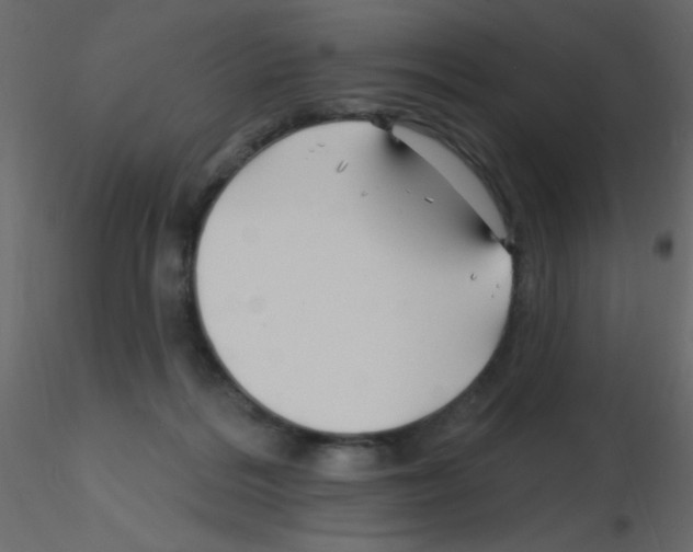 X0000115810220200912241921