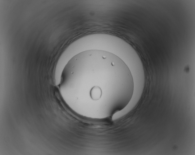 X0000115810221200912241921