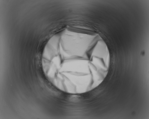 X0000115810222200912241921