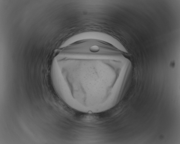 X0000115810223200912241921