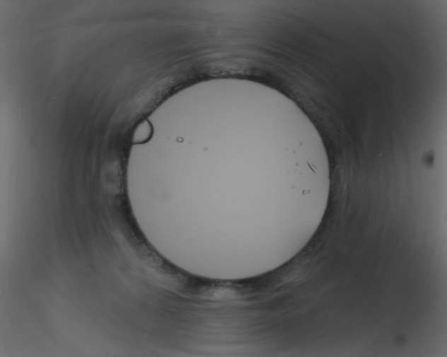 X0000115810224200912241921