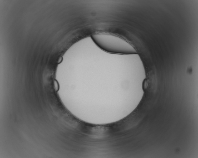X0000115810225200912241921