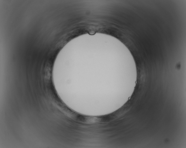 X0000115810226200912241921