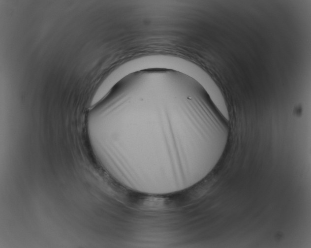 X0000115810227200912241921