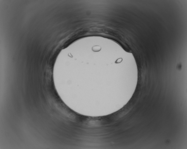 X0000115810228200912241921