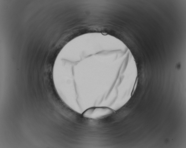 X0000115810229200912241921