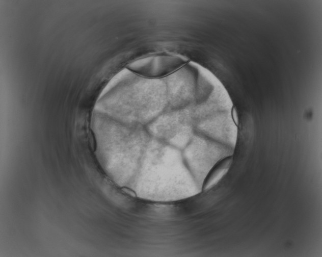 X0000115810233200912241921