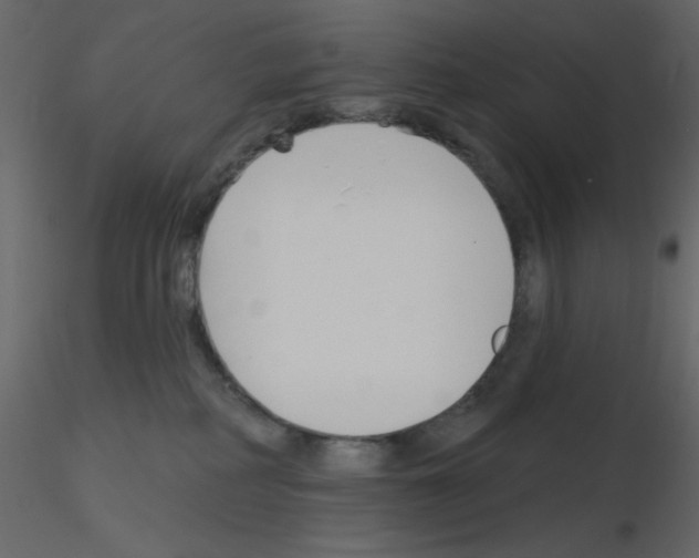 X0000115810234200912241920