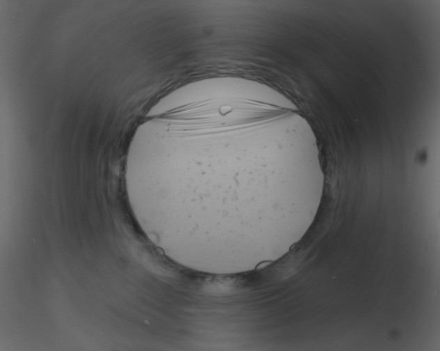 X0000115810235200912241920