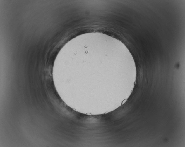 X0000115810236200912241920