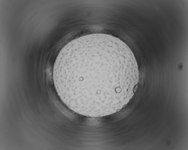 X0000115810238200912241920