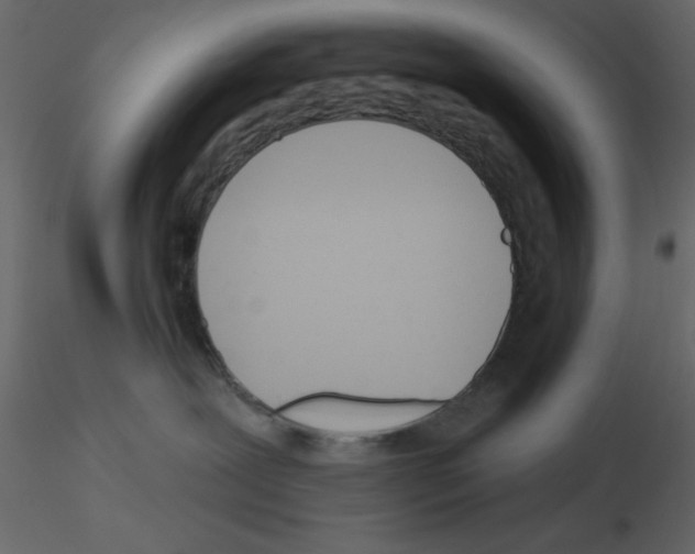 X0000115810239200912241920