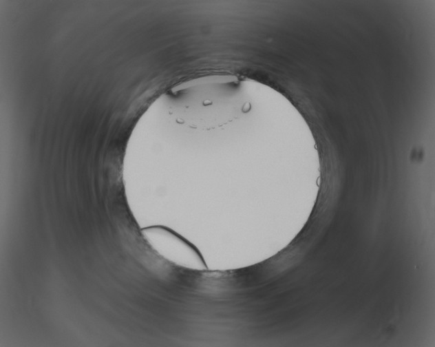 X0000115810240200912241920