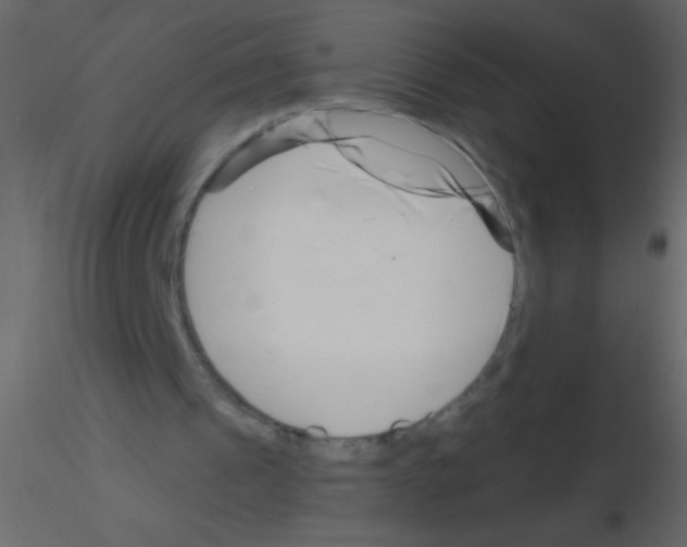 X0000115810241200912241920