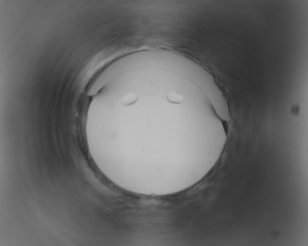 X0000115810242200912241920