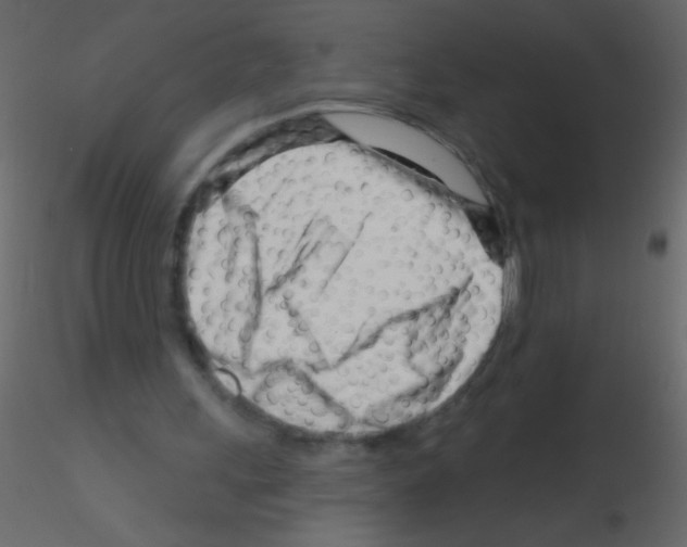 X0000115810243200912241920