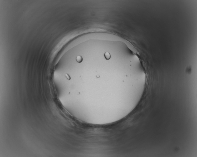 X0000115810244200912241920